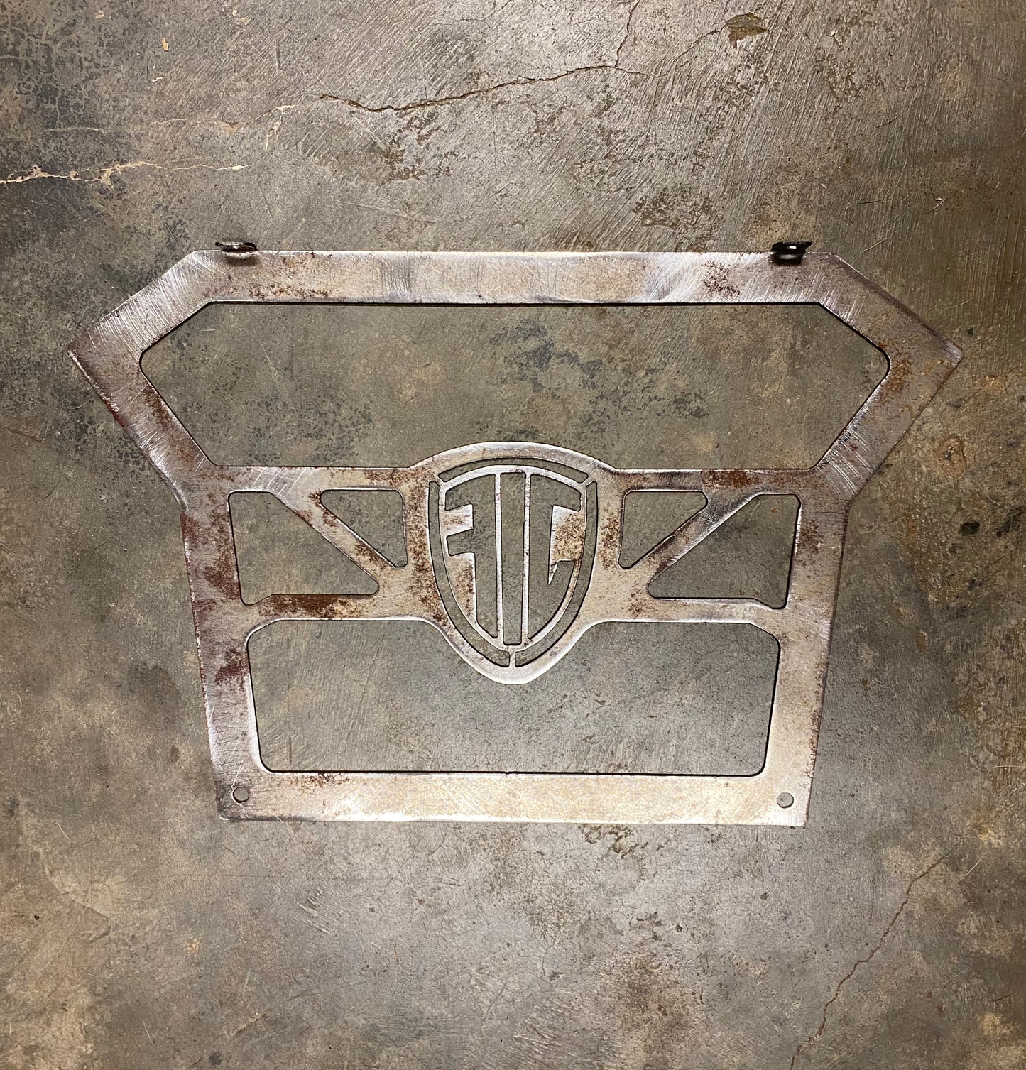 Polaris RZR 200 Grill image 2