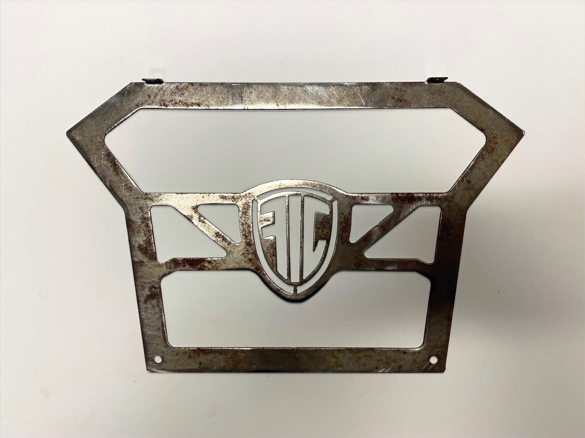 Polaris RZR 200 Grill image 1