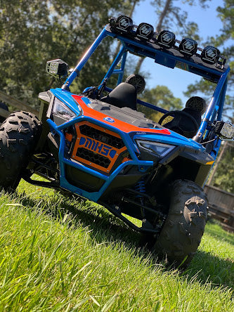 Polaris RZR 200 Grill image 0